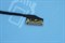 Шлейф матрицы Sony Vaio SVF152,  DD0HK9LC020 SC01256