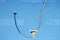 Шлейф матрицы Toshiba C50-B, C50D-B, C50T-B,  DC02001YG00 SC01314 - фото 9307